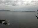 ./images/koeye/fitz-hugh/20180605/fitz-hugh20180605_081001.jpg