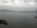 ./images/koeye/fitz-hugh/20180605/fitz-hugh20180605_081501.jpg