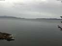 ./images/koeye/fitz-hugh/20180605/fitz-hugh20180605_083501.jpg