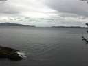 ./images/koeye/fitz-hugh/20180605/fitz-hugh20180605_094502.jpg