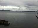 ./images/koeye/fitz-hugh/20180605/fitz-hugh20180605_095502.jpg