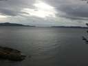 ./images/koeye/fitz-hugh/20180605/fitz-hugh20180605_102502.jpg