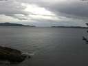 ./images/koeye/fitz-hugh/20180605/fitz-hugh20180605_104001.jpg