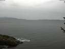./images/koeye/fitz-hugh/20180605/fitz-hugh20180605_121501.jpg