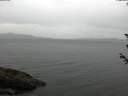 ./images/koeye/fitz-hugh/20180605/fitz-hugh20180605_124502.jpg