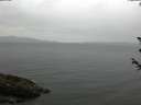 ./images/koeye/fitz-hugh/20180605/fitz-hugh20180605_131502.jpg