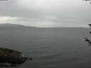 ./images/koeye/fitz-hugh/20180605/fitz-hugh20180605_132502.jpg