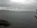 ./images/koeye/fitz-hugh/20180605/fitz-hugh20180605_142001.jpg