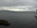 ./images/koeye/fitz-hugh/20180605/fitz-hugh20180605_144501.jpg