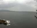 ./images/koeye/fitz-hugh/20180605/fitz-hugh20180605_160502.jpg