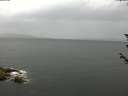 ./images/koeye/fitz-hugh/20180605/fitz-hugh20180605_165001.jpg