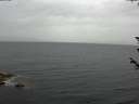./images/koeye/fitz-hugh/20180605/fitz-hugh20180605_175001.jpg