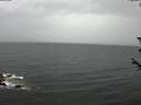 ./images/koeye/fitz-hugh/20180605/fitz-hugh20180605_181001.jpg