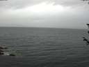 ./images/koeye/fitz-hugh/20180605/fitz-hugh20180605_193502.jpg