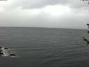 ./images/koeye/fitz-hugh/20180605/fitz-hugh20180605_200501.jpg