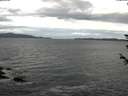 ./images/koeye/fitz-hugh/20180606/fitz-hugh20180606_075501.jpg