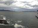 ./images/koeye/fitz-hugh/20180606/fitz-hugh20180606_090502.jpg
