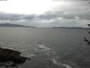 ./images/koeye/fitz-hugh/20180606/fitz-hugh20180606_125002.jpg