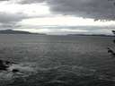 ./images/koeye/fitz-hugh/20180606/fitz-hugh20180606_174501.jpg