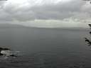 ./images/koeye/fitz-hugh/20180606/fitz-hugh20180606_205501.jpg