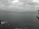 ./images/koeye/fitz-hugh/20180606/fitz-hugh20180606_211002.jpg