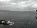./images/koeye/fitz-hugh/20180607/fitz-hugh20180607_043502.jpg