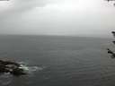 ./images/koeye/fitz-hugh/20180607/fitz-hugh20180607_053502.jpg