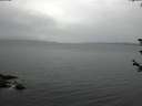 ./images/koeye/fitz-hugh/20180607/fitz-hugh20180607_071501.jpg
