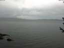 ./images/koeye/fitz-hugh/20180607/fitz-hugh20180607_073501.jpg