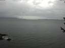 ./images/koeye/fitz-hugh/20180607/fitz-hugh20180607_080502.jpg