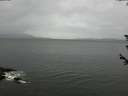 ./images/koeye/fitz-hugh/20180607/fitz-hugh20180607_084002.jpg