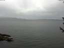./images/koeye/fitz-hugh/20180607/fitz-hugh20180607_093501.jpg