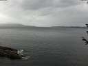 ./images/koeye/fitz-hugh/20180607/fitz-hugh20180607_105001.jpg
