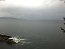 ./images/koeye/fitz-hugh/20180607/fitz-hugh20180607_111502.jpg