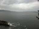 ./images/koeye/fitz-hugh/20180607/fitz-hugh20180607_115002.jpg