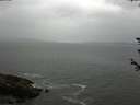 ./images/koeye/fitz-hugh/20180607/fitz-hugh20180607_135001.jpg