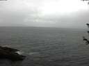 ./images/koeye/fitz-hugh/20180607/fitz-hugh20180607_154501.jpg