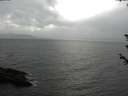 ./images/koeye/fitz-hugh/20180607/fitz-hugh20180607_165001.jpg