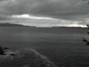 ./images/koeye/fitz-hugh/20180607/fitz-hugh20180607_223501.jpg