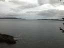 ./images/koeye/fitz-hugh/20180608/fitz-hugh20180608_043502.jpg