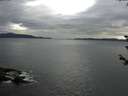 ./images/koeye/fitz-hugh/20180608/fitz-hugh20180608_071501.jpg