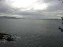 ./images/koeye/fitz-hugh/20180608/fitz-hugh20180608_074001.jpg