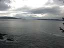 ./images/koeye/fitz-hugh/20180608/fitz-hugh20180608_085501.jpg
