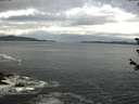 ./images/koeye/fitz-hugh/20180608/fitz-hugh20180608_093501.jpg