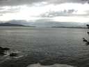 ./images/koeye/fitz-hugh/20180608/fitz-hugh20180608_094501.jpg