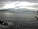 ./images/koeye/fitz-hugh/20180608/fitz-hugh20180608_095001.jpg