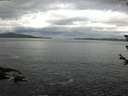 ./images/koeye/fitz-hugh/20180608/fitz-hugh20180608_095501.jpg