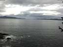 ./images/koeye/fitz-hugh/20180608/fitz-hugh20180608_100501.jpg
