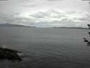 ./images/koeye/fitz-hugh/20180608/fitz-hugh20180608_120501.jpg