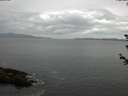 ./images/koeye/fitz-hugh/20180608/fitz-hugh20180608_122501.jpg